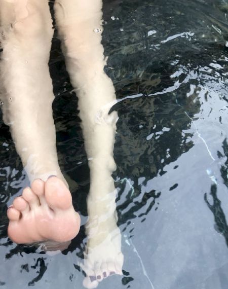 索多玛的猫
