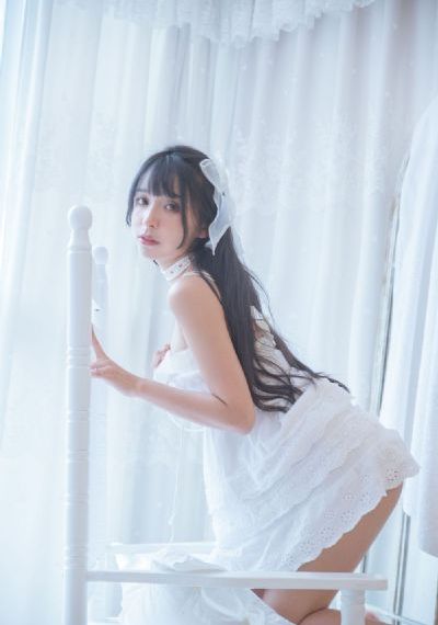 完美证据电视剧免费观看完整版